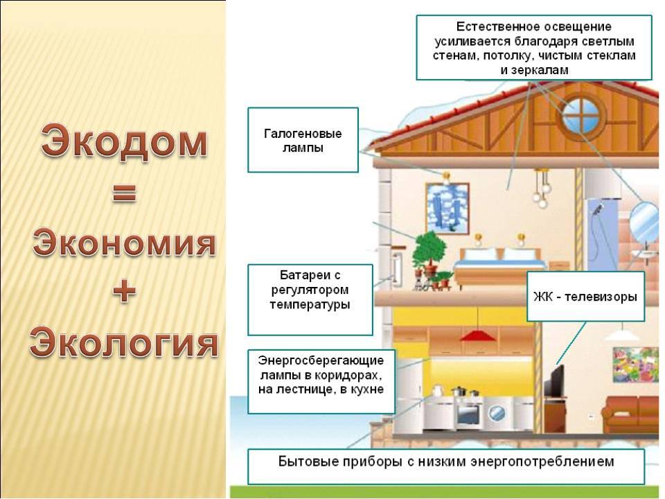 Проект экология моего жилища