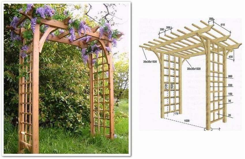 Пергола деревянная для вьющихся растений своими руками чертежи
