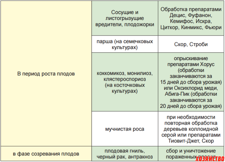 Обработка сада от вредителей и болезней. Обработка яблонь и груш от вредителей и болезней. Схема обработки плодовых деревьев весной. Препараты для опрыскивания плодовых деревьев. Обработка деревьев весной от вредителей.