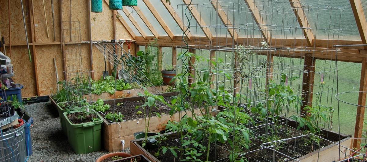Как создать огород на балконе своими руками