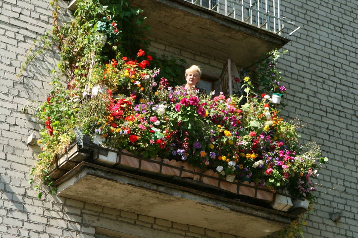 Фото как оформить балкон цветами фото