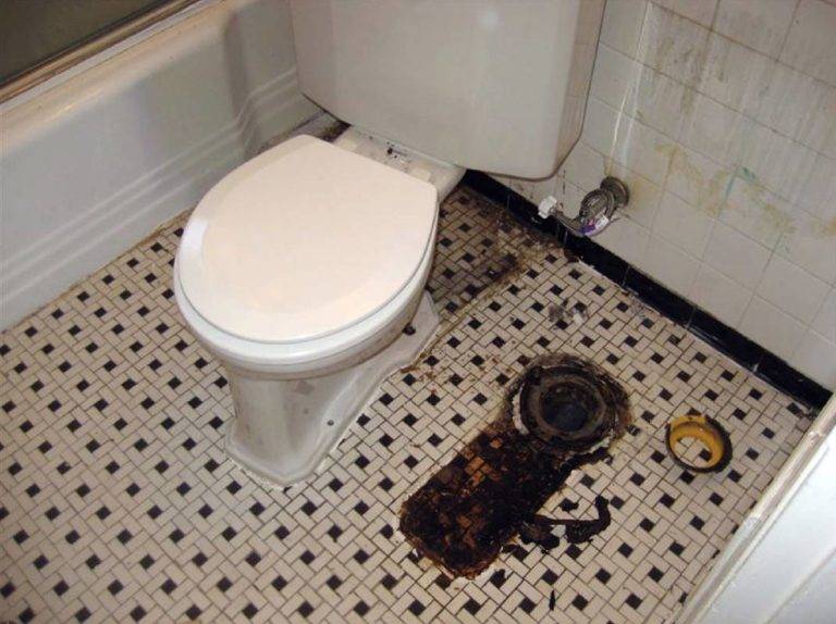 Запах канализации в туалете какие причины и как устранить - гидканал