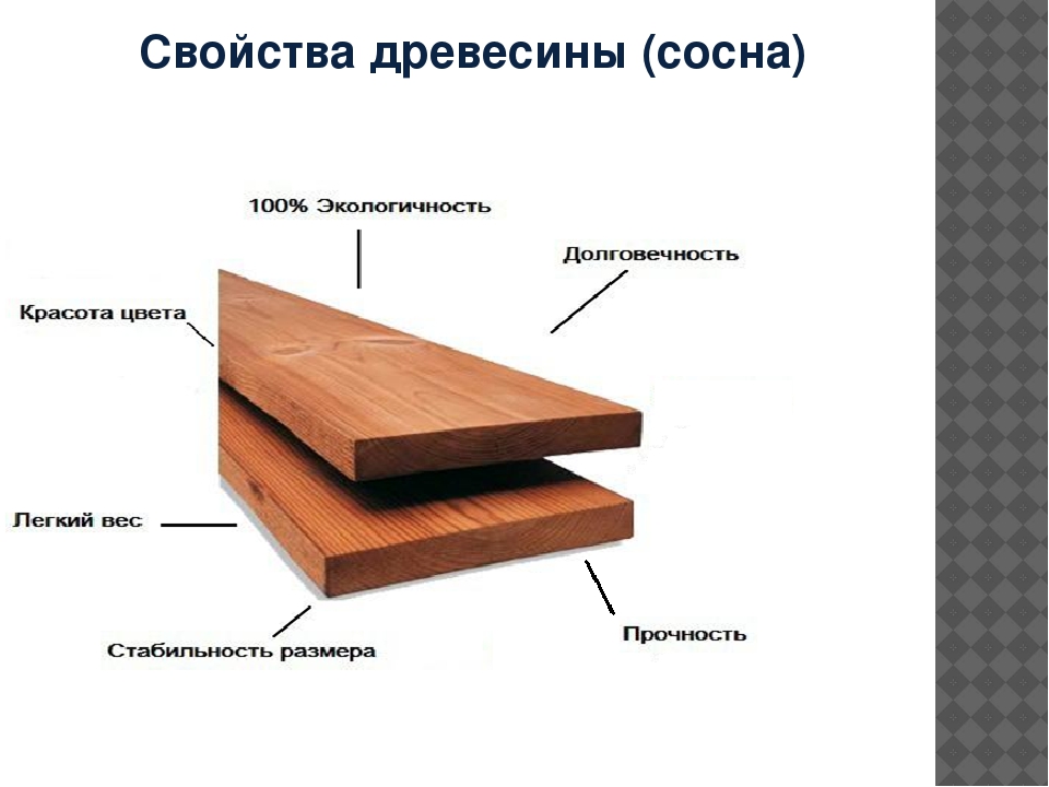 Создан деревянный нож, который режет не хуже стального - hi-news.ru