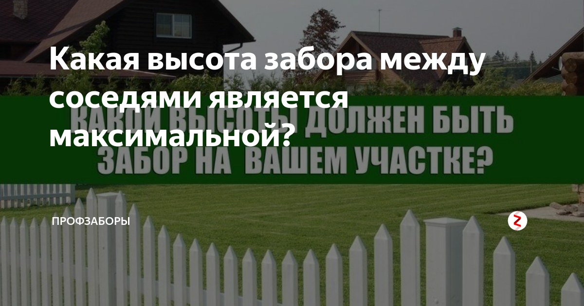 Как правильно установить забор между соседями. Высота забора между соседними участками в СНТ. Нормы по высоте забора между соседями. Нормы высоты забора между соседями. Заборы между участками в СНТ.