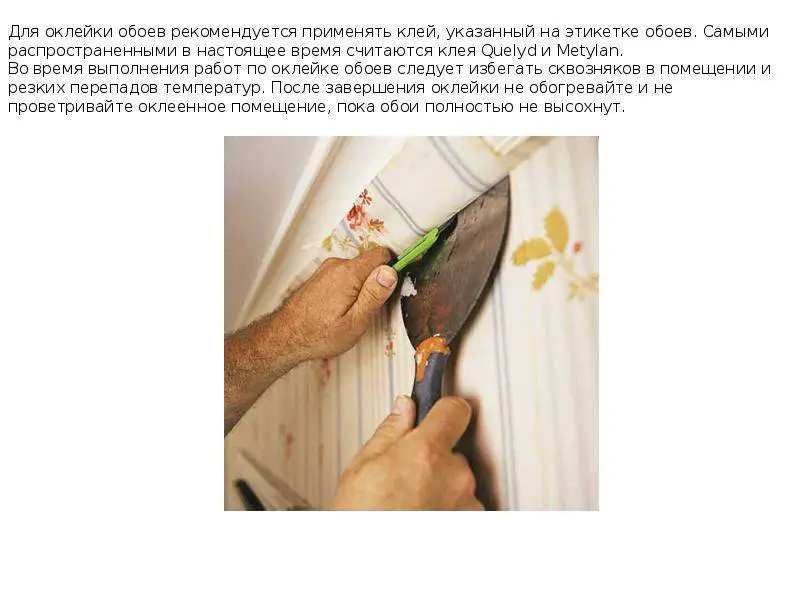 Когда можно открывать окна после поклейки обоев, советы специалистов
