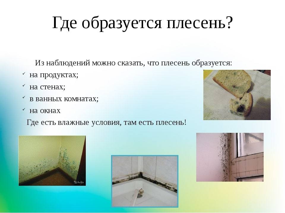 Причины cырости стен в квартире и углов в комнатах: способы борьбы с плесенью