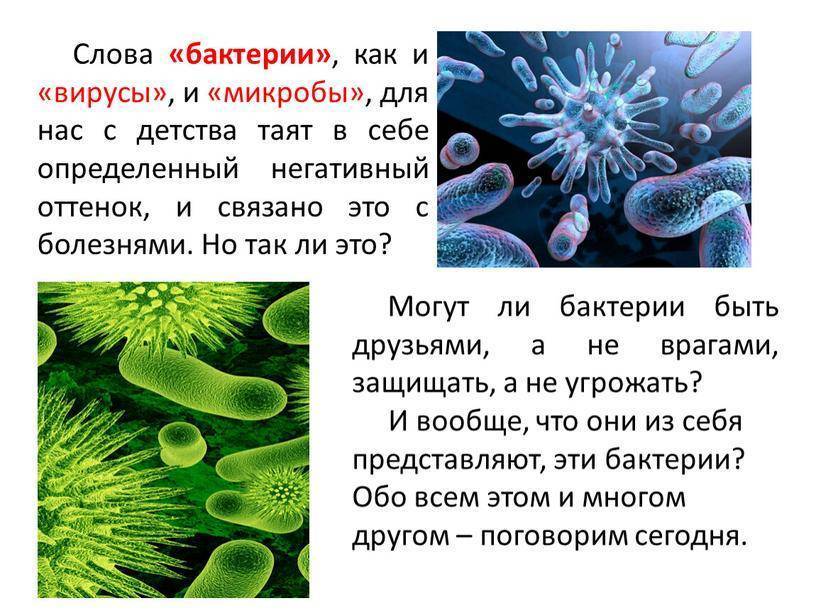 Дезинфекция дома от вирусов и инфекций  | domestos