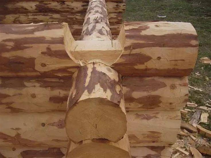 Баня из сруба: строим своими руками поэтапно + проекты, фото, видео