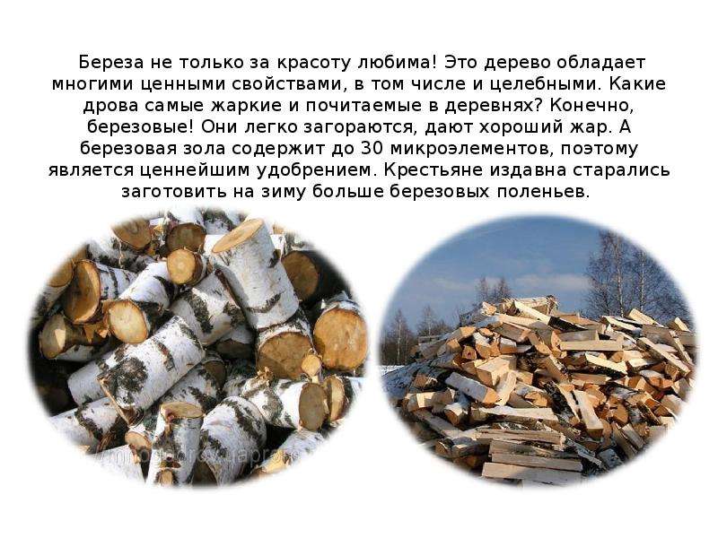 Какие дрова лучше для отопления - научитесь выбирать правильно!