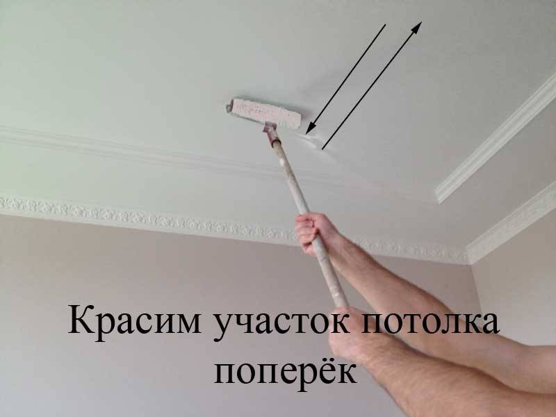 Как покрасить потолок водоэмульсионкой без разводов: выбор краски и инструкция по нанесен