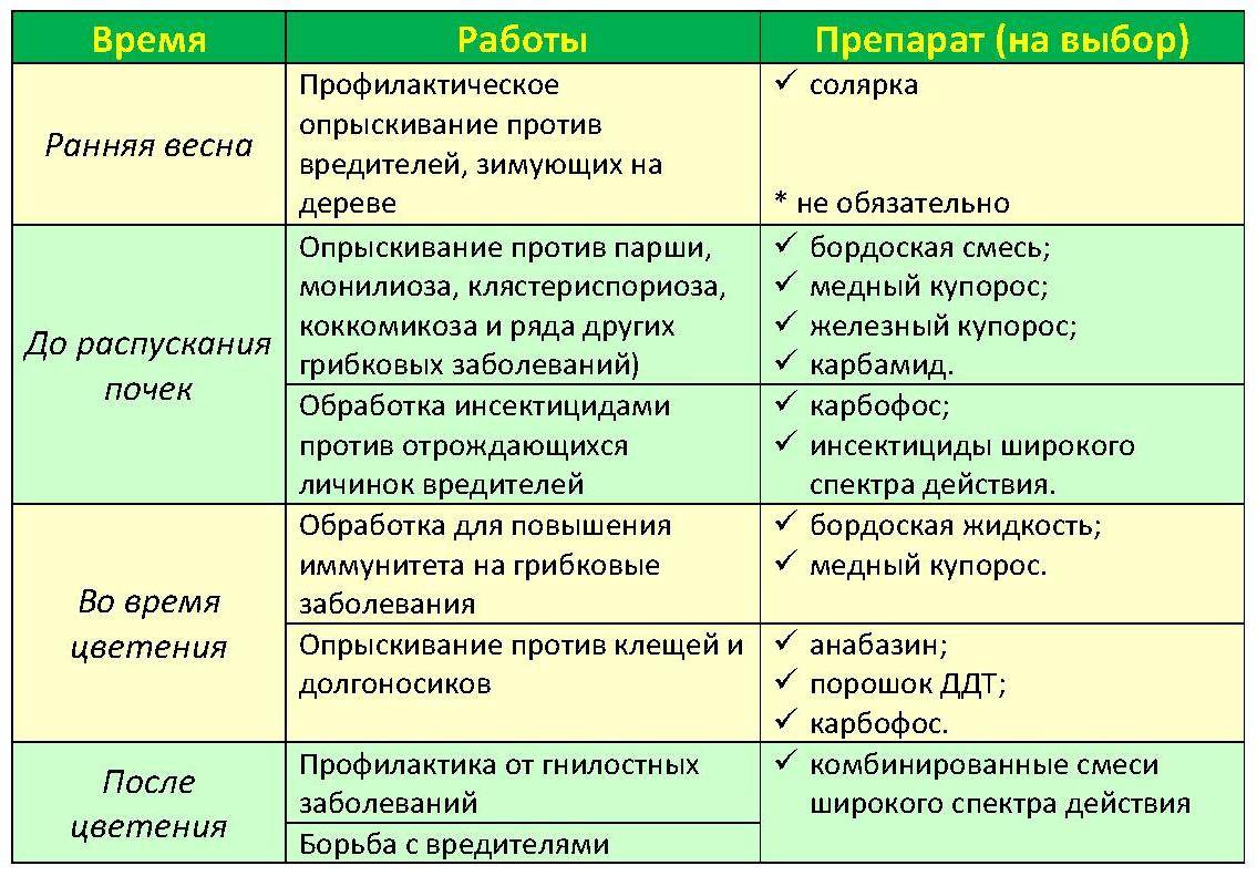 Обработка плодовых деревьев от болезней и вредителей весной: когда и чем обрабатывать