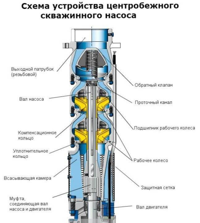 Винтовой насос для скважины: устройство, сферы применения | гидро гуру
 adblockrecovery.ru