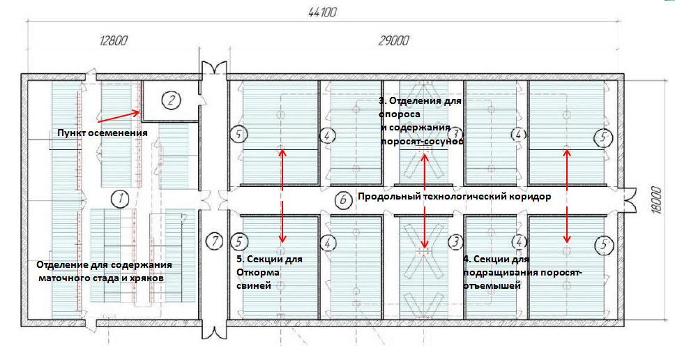 Свинарник на 10 голов проект