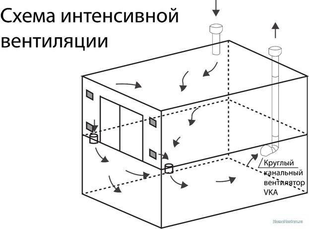Как сделать вентиляцию в курятнике зимой своими руками