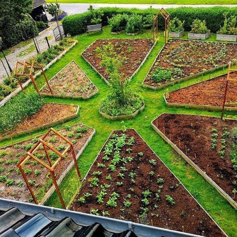 Красивые грядки своими руками: 50 идей, как украсить огород