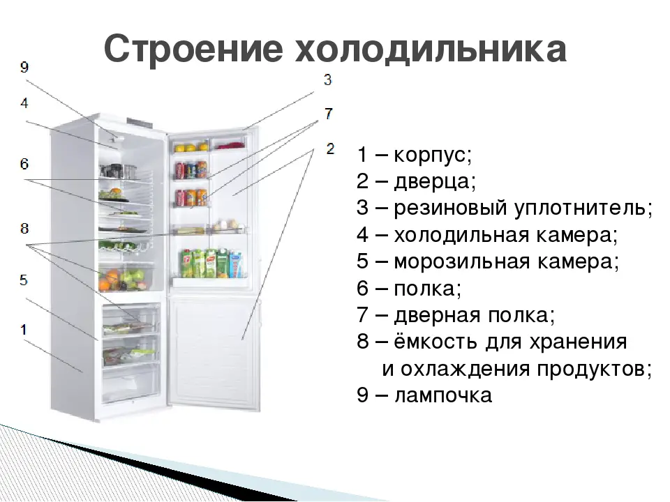 Как выбрать лучший холодильник с системой no frost. советы покупателям