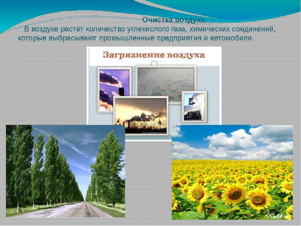 Как избавиться от неприятного запаха в квартире: 29 эффективных способов