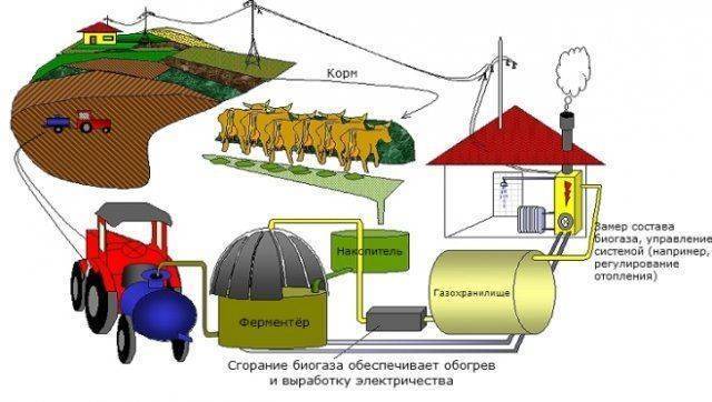 Биогаз из навоза – способы получения, преимущества технологии
