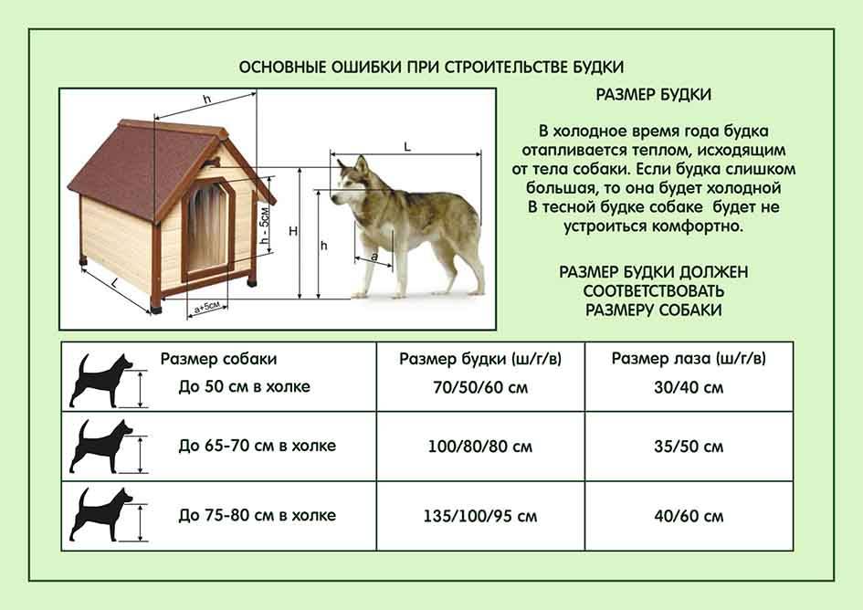 Вольер для собаки алабая на даче из сетки рабицы, зимний: размеры