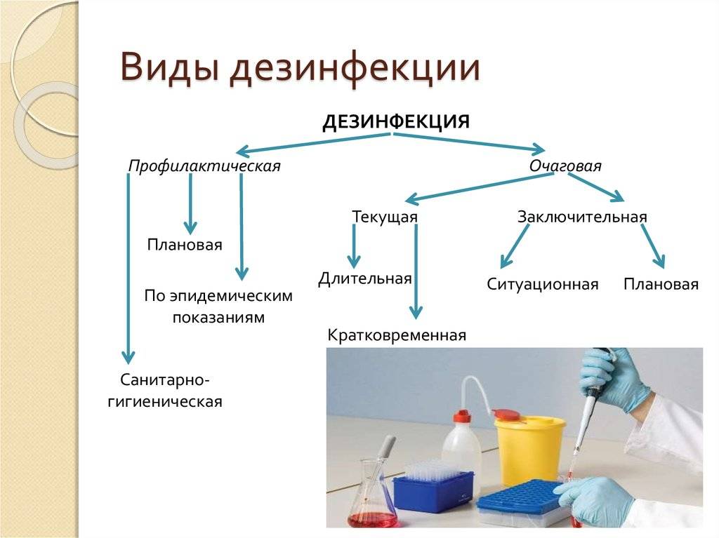 Санпин заключительная дезинфекция