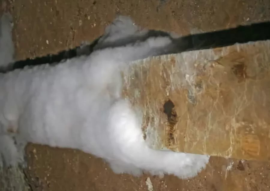 Как избавиться от грибка в погребе: методы обработки стен от плесени