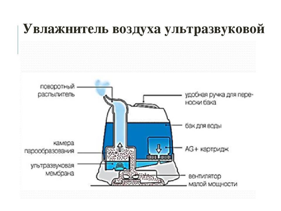 Принцип работы увлажнителя воздуха: типы работы, виды техники