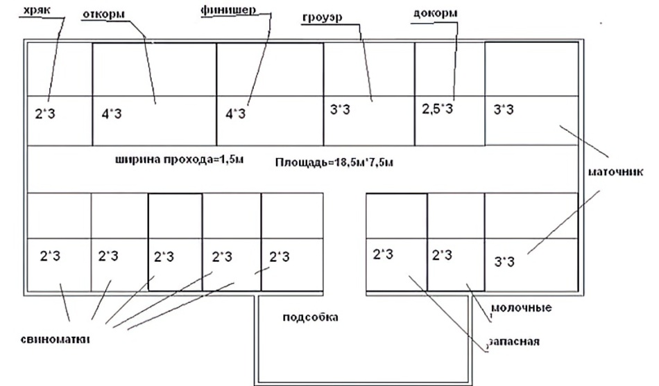 Бизнес план свиноводства на 10 голов