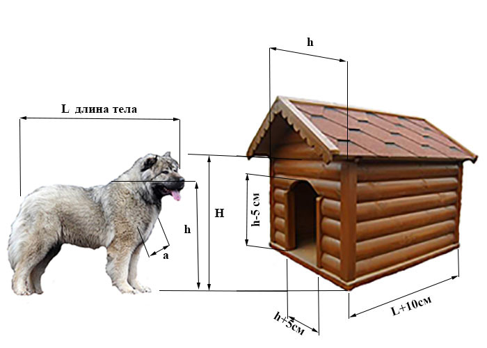 Будка для собаки размеры | как расчитать | таблица соответствия породам
