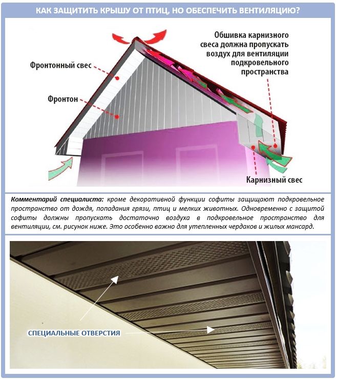 Как избавиться от птиц под крышей