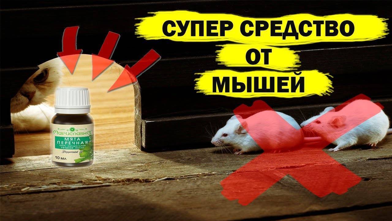 Какой утеплитель не грызут мыши и крысы, обзор материалов