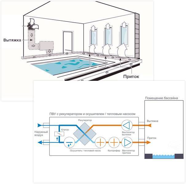 Вентиляция бассейна: проект для частного дома или коттеджа, схемы и расчеты