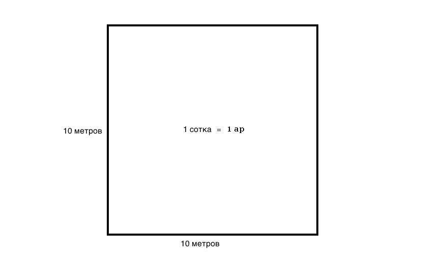 Сотка земли: сколько в метрах, как рассчитать площадь участка + таблица