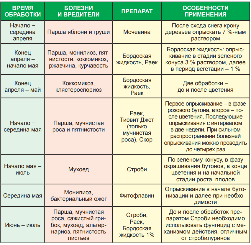 Обработка плодовых деревьев: лучшие способы, пошаговая инструкция по обработке и побелке + фото и видео-обзоры