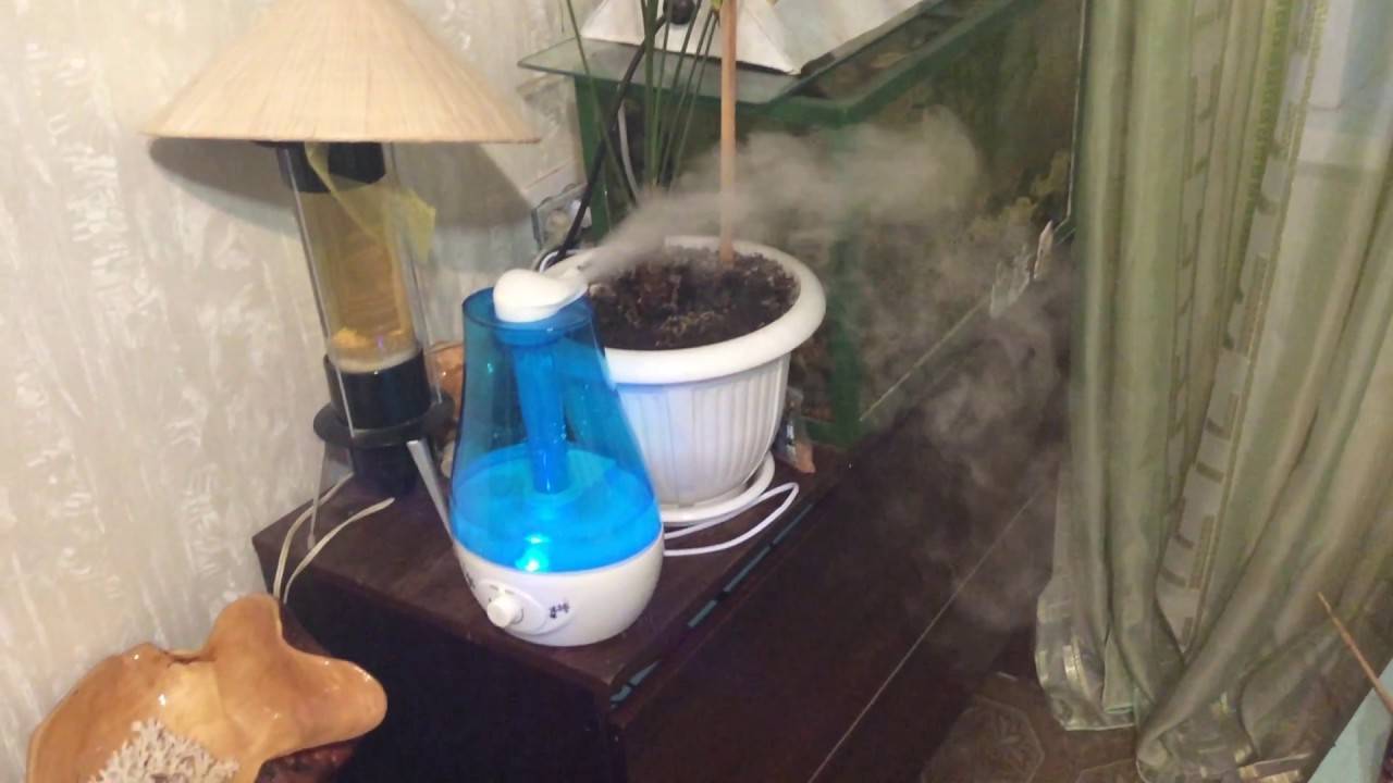 Как увлажнить воздух в домашних условиях без увлажнителя