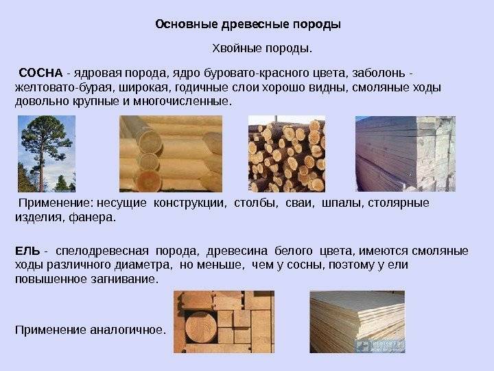Виды пиломатериалов и древесины в строительстве - строй сам