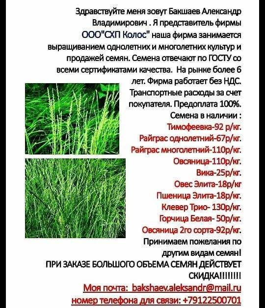 Какой газон выбрать для дачи? - выбор семян газона для дачи
