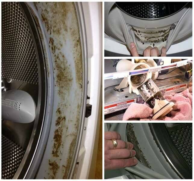 Чистка стиральной машины своими руками
